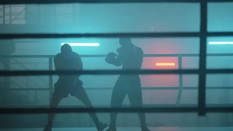 Boxer Stock-Footage 144655244