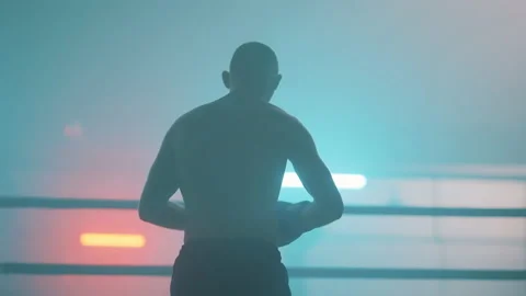 Boxer Stock Footage 144657257