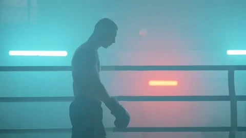 Boxer Vídeos de archivo 144659129