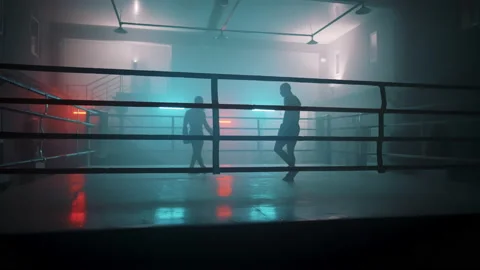 Boxer Stock Footage 144660134