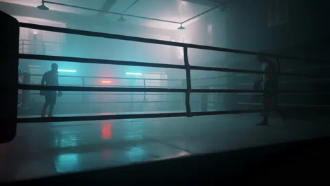 Boxer Vídeos de archivo 144662654