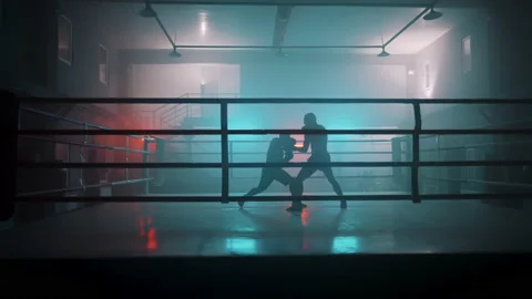 Boxer Stock Footage 144663301