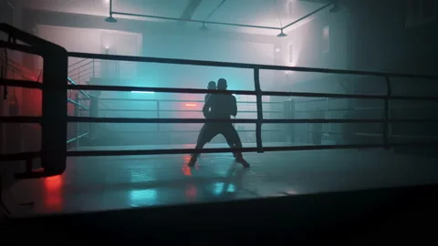 Boxer Stock Footage 144663621