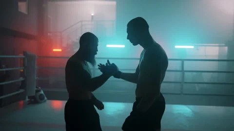 Boxer 動画素材 144663624