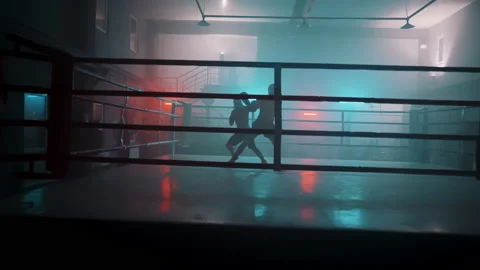 Boxer Stock Footage 144663633