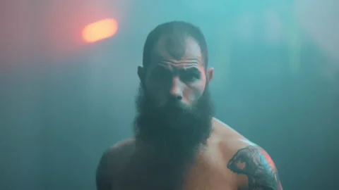 Boxer Stock Footage 144704424