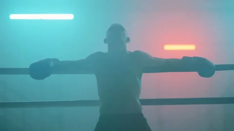 Boxer 動画素材 144704518