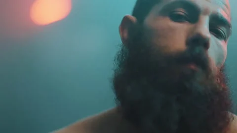 Boxer Stock Footage 144706297