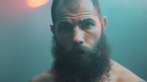 Boxer Stock Footage 144706358