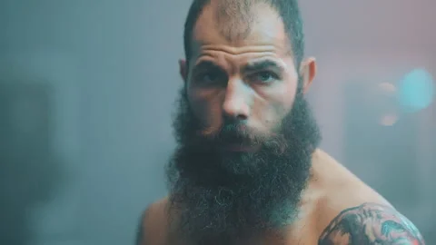 Boxer Stockbeeldmateriaal 144707766