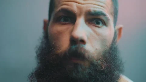 Boxer Stock Footage 144707778