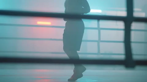 Boxer Stock Footage 144708033