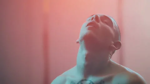 Boxer Stock Footage 144708625