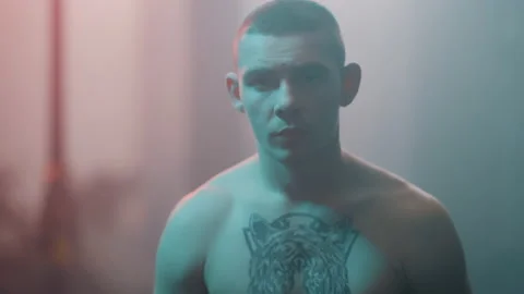 Boxer Stock Footage 144709068