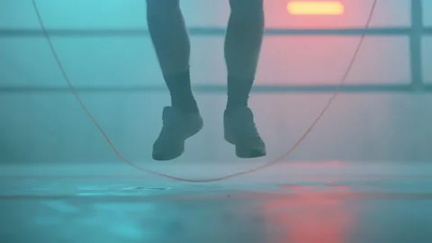 Boxer Stock Footage 144711436