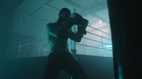 Boxer Stock-Footage 144712022