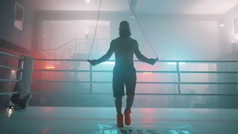 Boxer Stockbeeldmateriaal 144712334