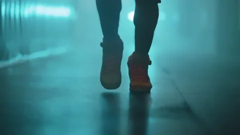 Boxer Stock Footage 144713610