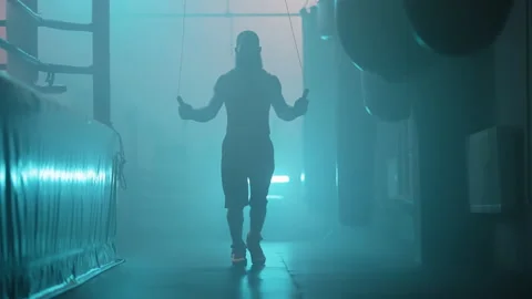 Boxer 動画素材 144713775