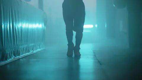 Boxer Vídeos de archivo 144713828