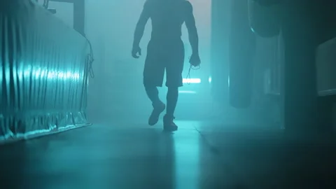 Boxer Stock Footage 144715298