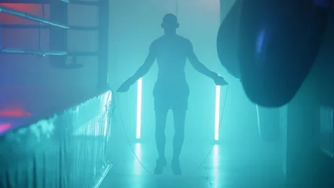 Boxer Stock Footage 144715903