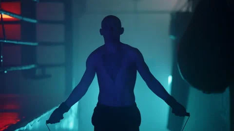 Boxer Stock Footage 144717678