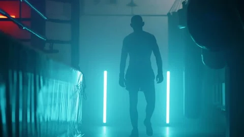 Boxer Stock Footage 144717732