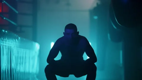 Boxer Stock Footage 144718296