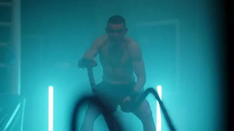 Boxer Stock Footage 144719366