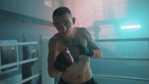 Boxer Vídeos de archivo 144719547