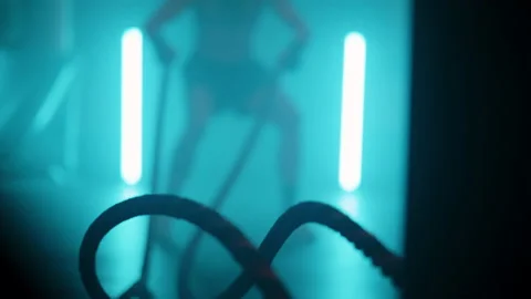 Boxer Stock Footage 144719918