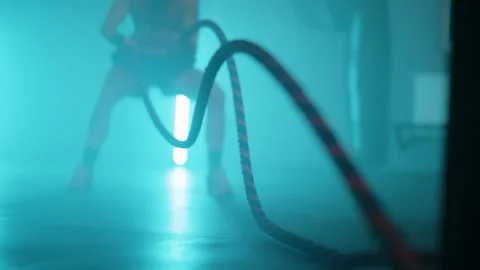 Boxer Stock Footage 144721664