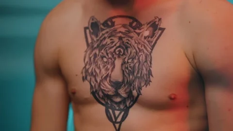 Boxer Vídeos de archivo 144721716