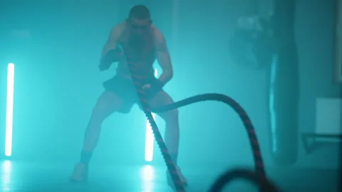 Boxer Stock Footage 144722828