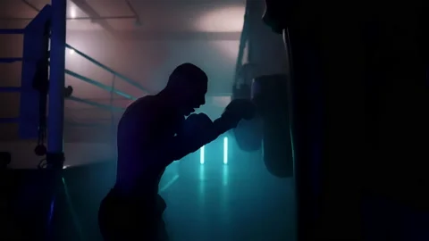 Boxer Видео 144724883