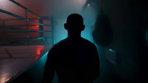 Boxer Stock Footage 144727256