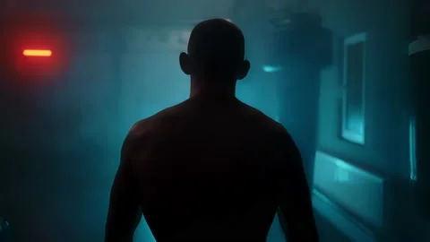 Boxer Stock Footage 144727446