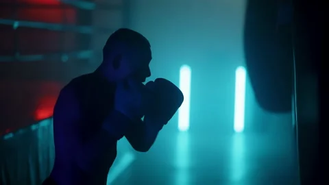 Boxer Stock Footage 144727992