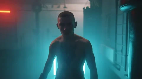 Boxer Stock-Footage 144728044