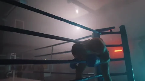 Boxer 動画素材 144744802