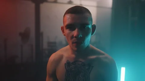 Boxer Stockbeeldmateriaal 144745139