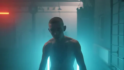 Boxer Stockbeeldmateriaal 144745322