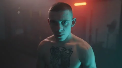 Boxer Stockbeeldmateriaal 144745377