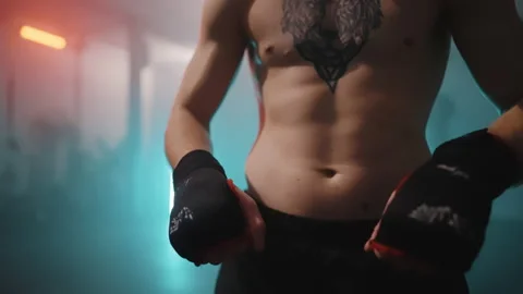 Boxer Stockbeeldmateriaal 144750353