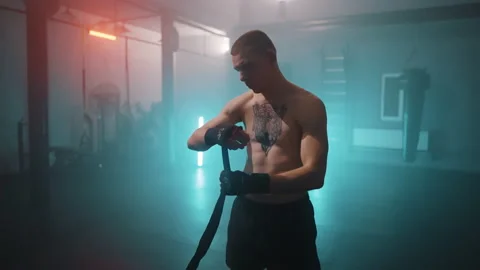 Boxer Vídeos de archivo 144750455