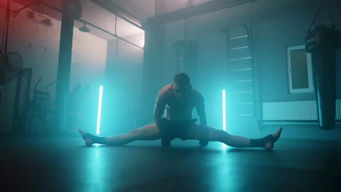 Boxer Stock Footage 144750757