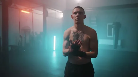 Boxer Stock Footage 144750874