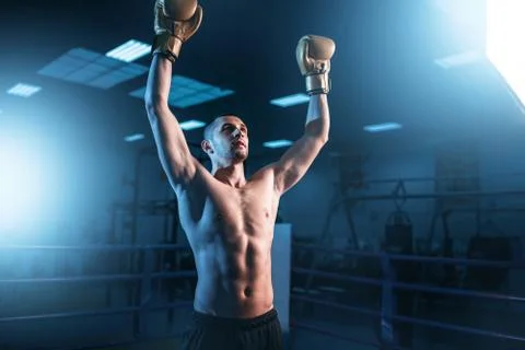 Boxer in gloves hands up on the ring, back view Stock Photos