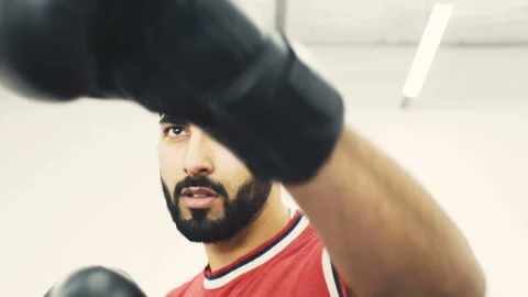 Boxer Have Training Видео 88358251